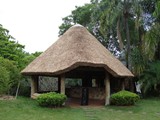 coberturas (6)